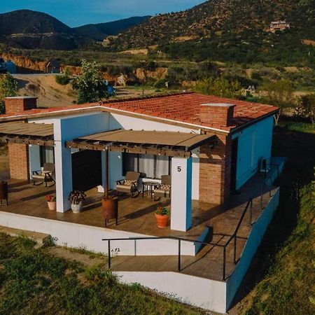 Quinta Sofia Valle De Guadalupe (Adults Only) Extérieur photo