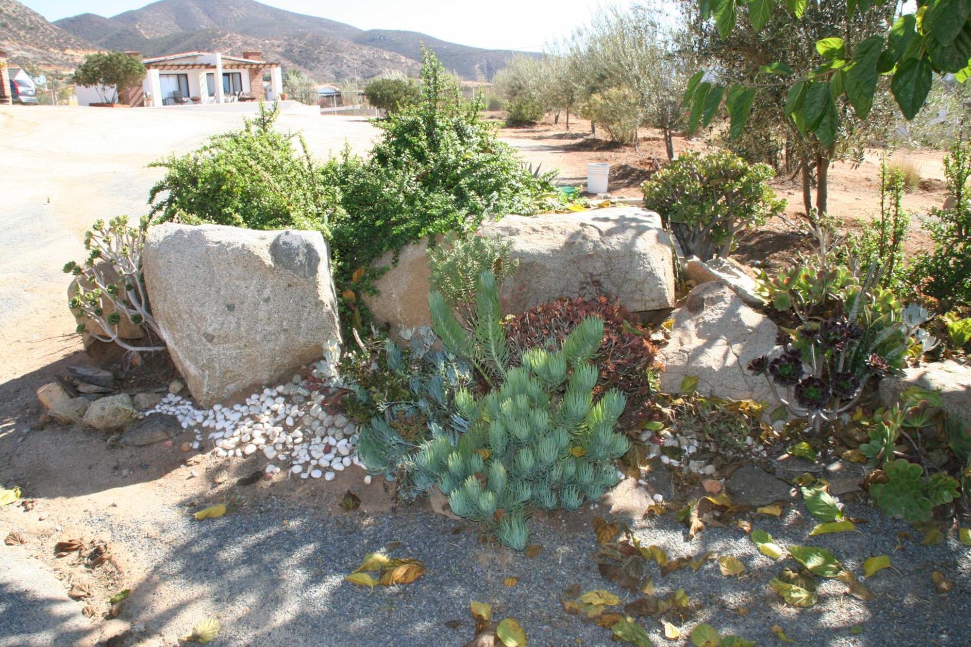 Quinta Sofia Valle De Guadalupe (Adults Only) Extérieur photo