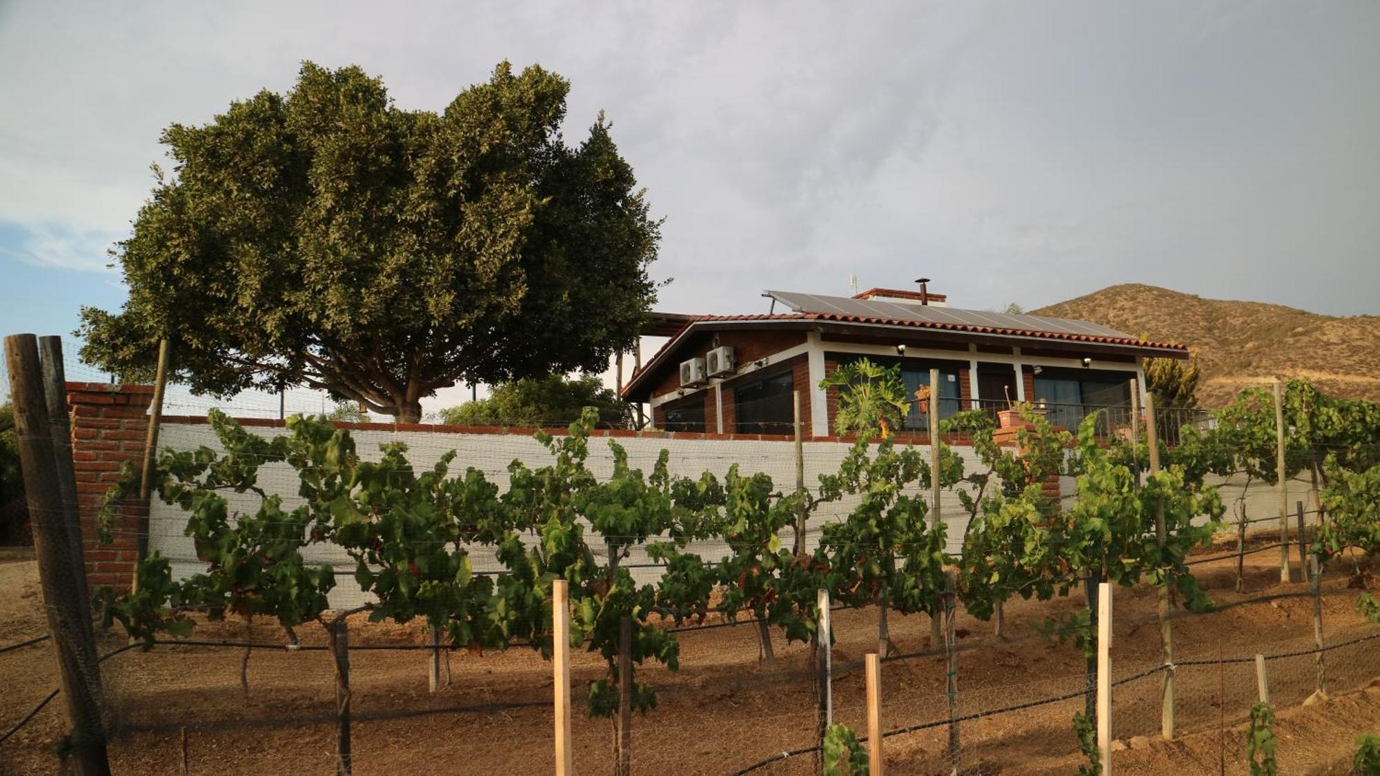 Quinta Sofia Valle De Guadalupe (Adults Only) Extérieur photo