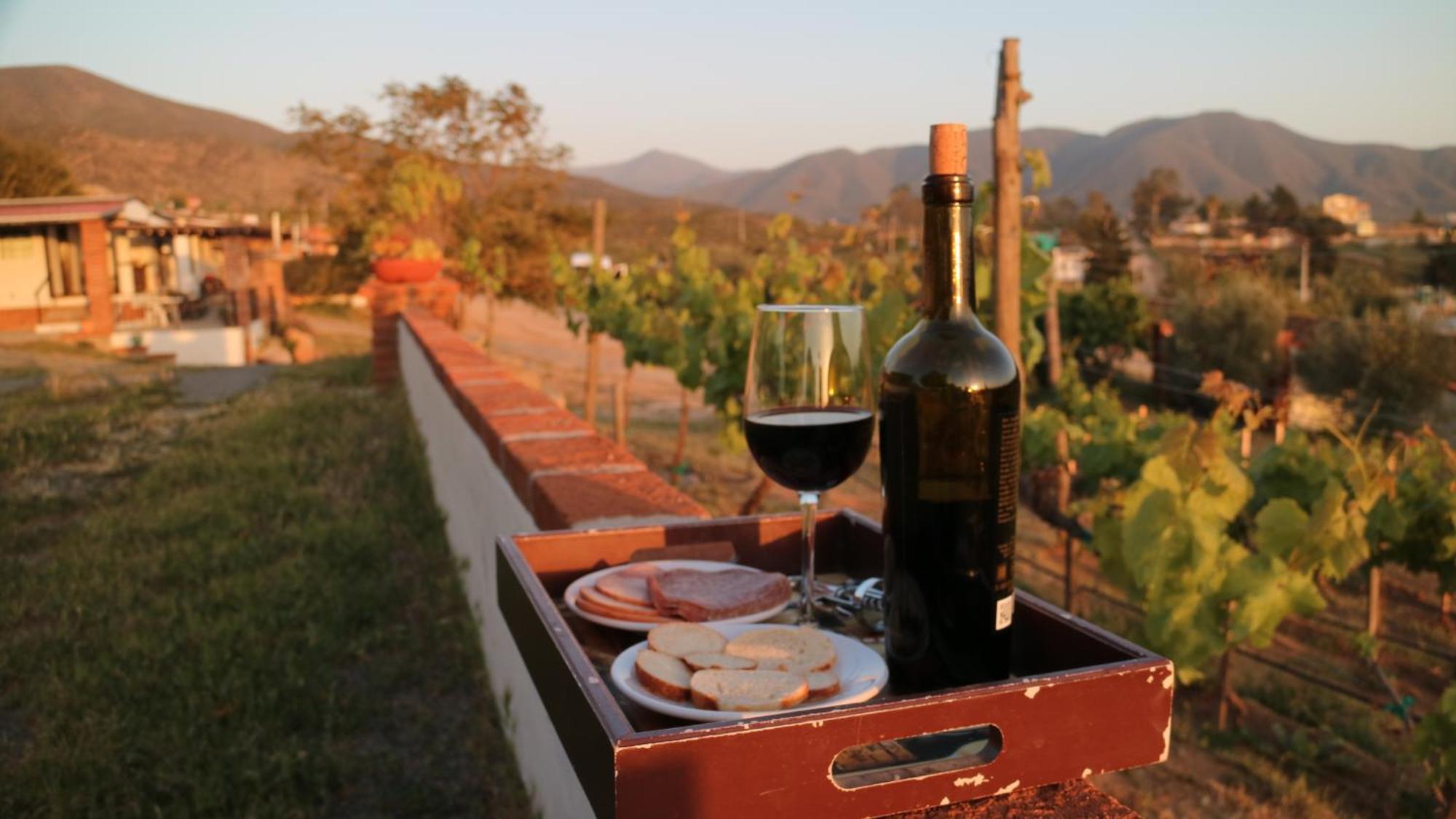 Quinta Sofia Valle De Guadalupe (Adults Only) Extérieur photo